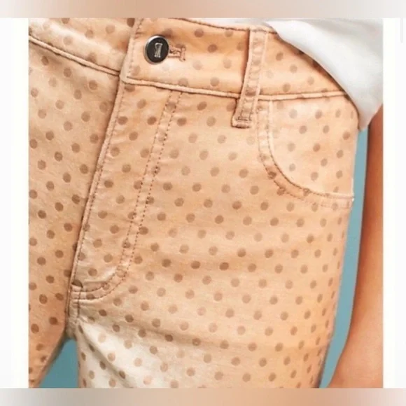 Anthropologie Pilcro Velvet Polka Dot High-Rise Skinny Ankle size 29 - Picture 2 of 8